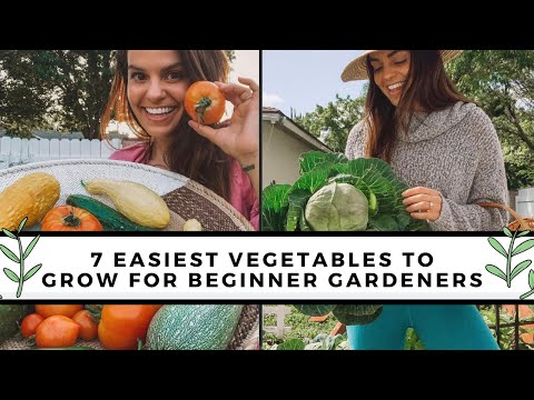 , title : '7 Easiest To Grow Vegetables For Beginners | Gardening 101