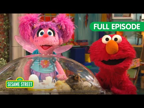 Elmo and Baby Animals!🐣 | 1 HOUR Sesame Street Full Episodes