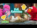 Elmo Learns About Animals Chickens Dogs 1 HOUR Of Full Episodes Sesame Street