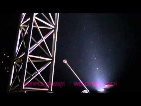 PURPLE BONSAI - Welcome Album Teaser