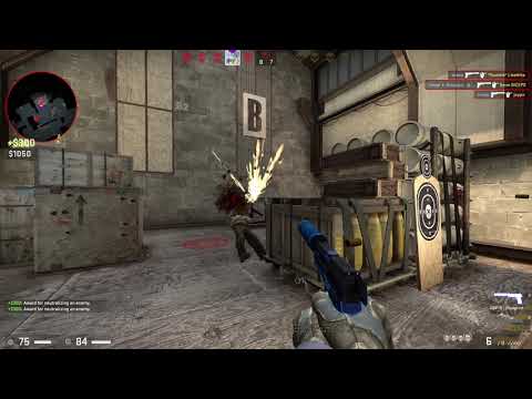 Steam Community :: Video :: not even the best csgo player in my house