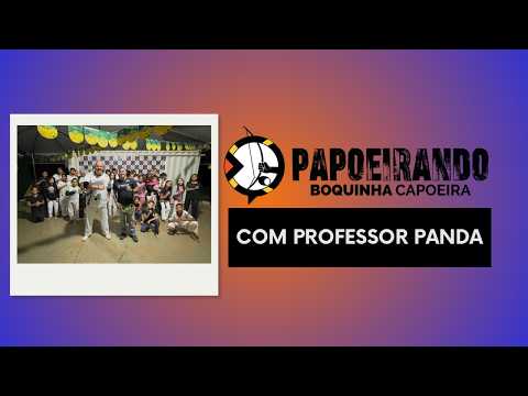 Papoeirando com Professor Panda