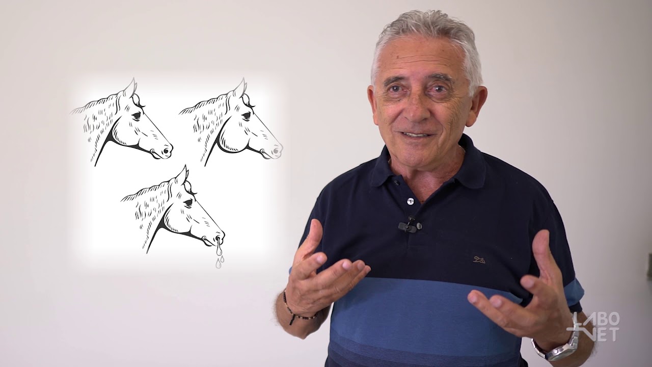 Saiba tudo sobre GARROTILHO (ADENITE EQUINA) com o Prof. Cleyton Eustáquio Braga