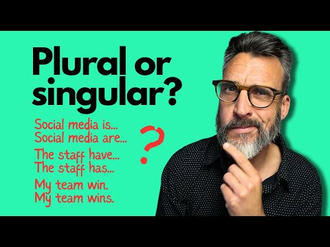 Advanced English grammar: Singular or plural? Confusing nouns