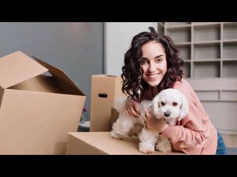Is Moving House Stressful For Pets?