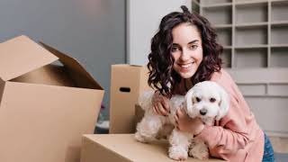 Is Moving House Stressful For Pets?