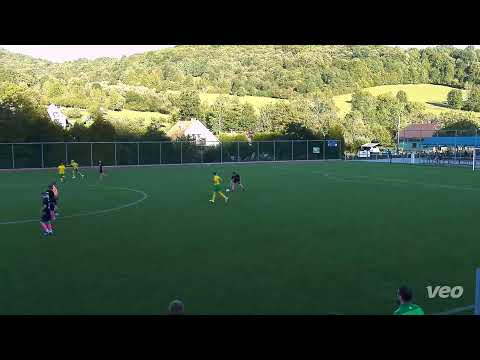 Životice u NJ – TJ Tatran Mankovice