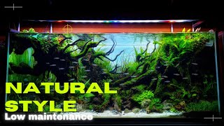 #332 create a natural style aquascape with green plants