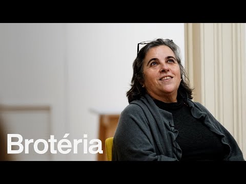 Pobreza e desigualdade social