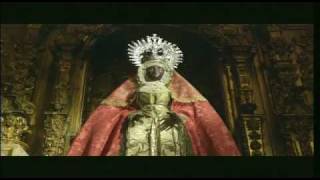 MADRE AMADÍSIMA - TRAILER