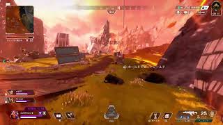 APEX　ソロラン　ゴールド