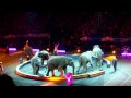 Elephants Ringling Bros Circus 2010