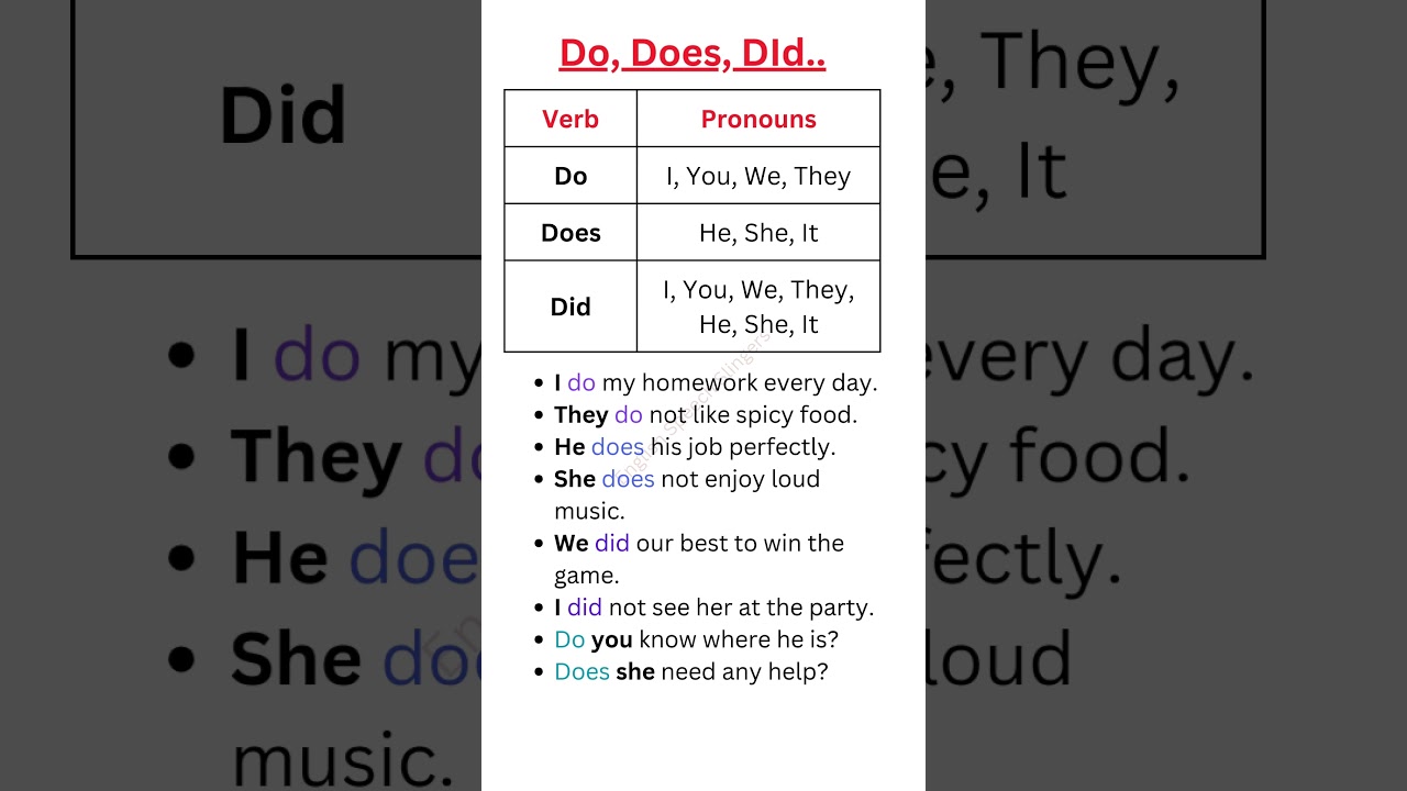 Do, Does, Did | When to use | Example