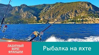 Ссылка
