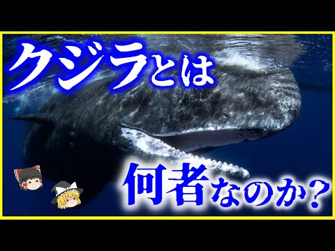 IUCN分類における絶滅の危険性を示す図。