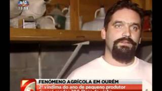 preview picture of video 'Fenómeno agrícola em Ourém'