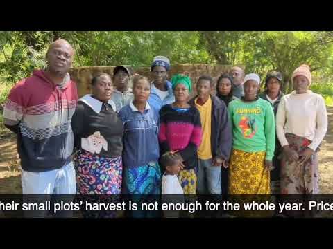Urgent Hunger Help Need for 60 Families in Katete