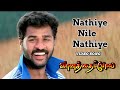 Nathiye Nayil Nathiye Video Song Vaanathai Pola Movie Video Song Prabhu Deva Kousalya