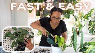 PON REPOT 🌱 Q&A ❓ My LEAST & MOST Fave Genus 😱