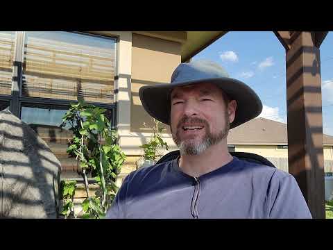 Signs Pointing to God, Matthew 16:1-12