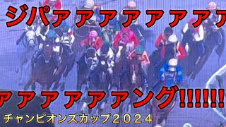【チャンピオンズカップ2024】新時代の幕開けを信じて全力応援しました【レモンポップ】【サンライズジパング】