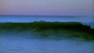 FatBoy Slim - Song for Shelter