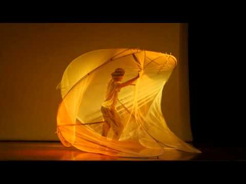 Metatopia-Flexinamics- Workshop Chile 2015