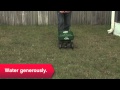 How To Improve Your Lawn - Ace Hardware How To Improve Your Lawn - Ace Hardware