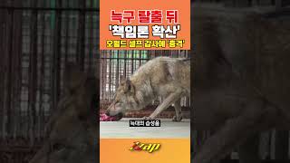 [세가지 뉴스] 돌아온 늑구에 오월드에 '책임론 확산'?! 셀프 감사에 충격!! #shorts