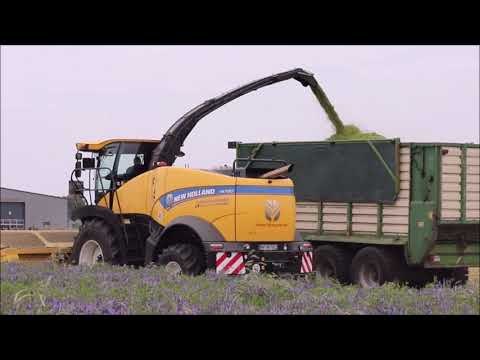 WickRoggen häckseln mit New Holland FR780 und JohnDeere Gespanne!