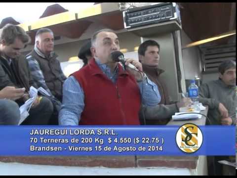 Jauregui Lorda S.R.L. - Invernada Hembra - Brandsen - 15/08/2014