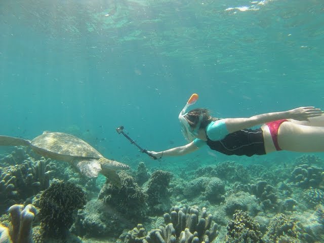 GoPro Snorkel Sipadan