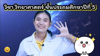ep.30 วิทยาศาสตร์ ป.5 มอบหมายงาน เรื่อง หยาดน้ำฟ้า by ครูเมย์ ชนากานต์