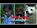 വരയൻ പുലിയും പപ്പികുട്ടിയും Single Watch ഫുൾ