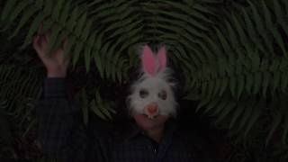 Perlata -Gorputzak ferekan