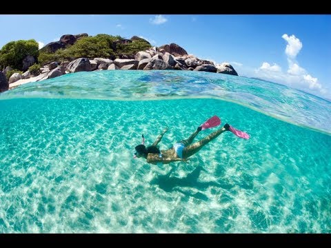 Reef Snorkeling In The Bahamas, Nassau