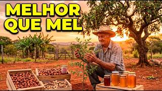 Esqueça o mel. Esse arbusto produz por 60 anos — Por que não é popular no Brasil?