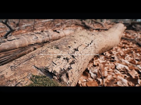 Warum habe ich einen E46 Compact gekauft ? | E46 Build