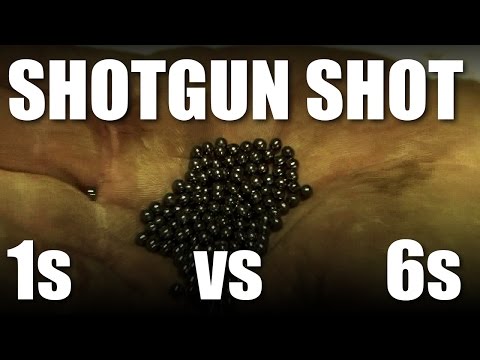 Shotgun Shot: size 1s vs size 6s