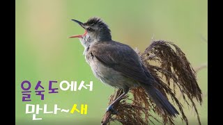 [을숙도 고니를 부탁해2] 을숙도에서 만나~새의 이미지