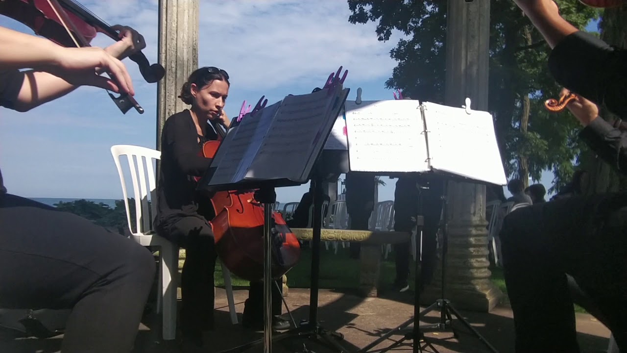 Promotional video thumbnail 4 for Bel Canto Strings