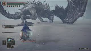ELDEN RING　雪原の竜撃破