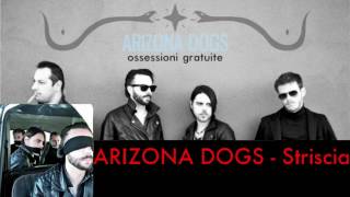 Arizona dogs - Striscia