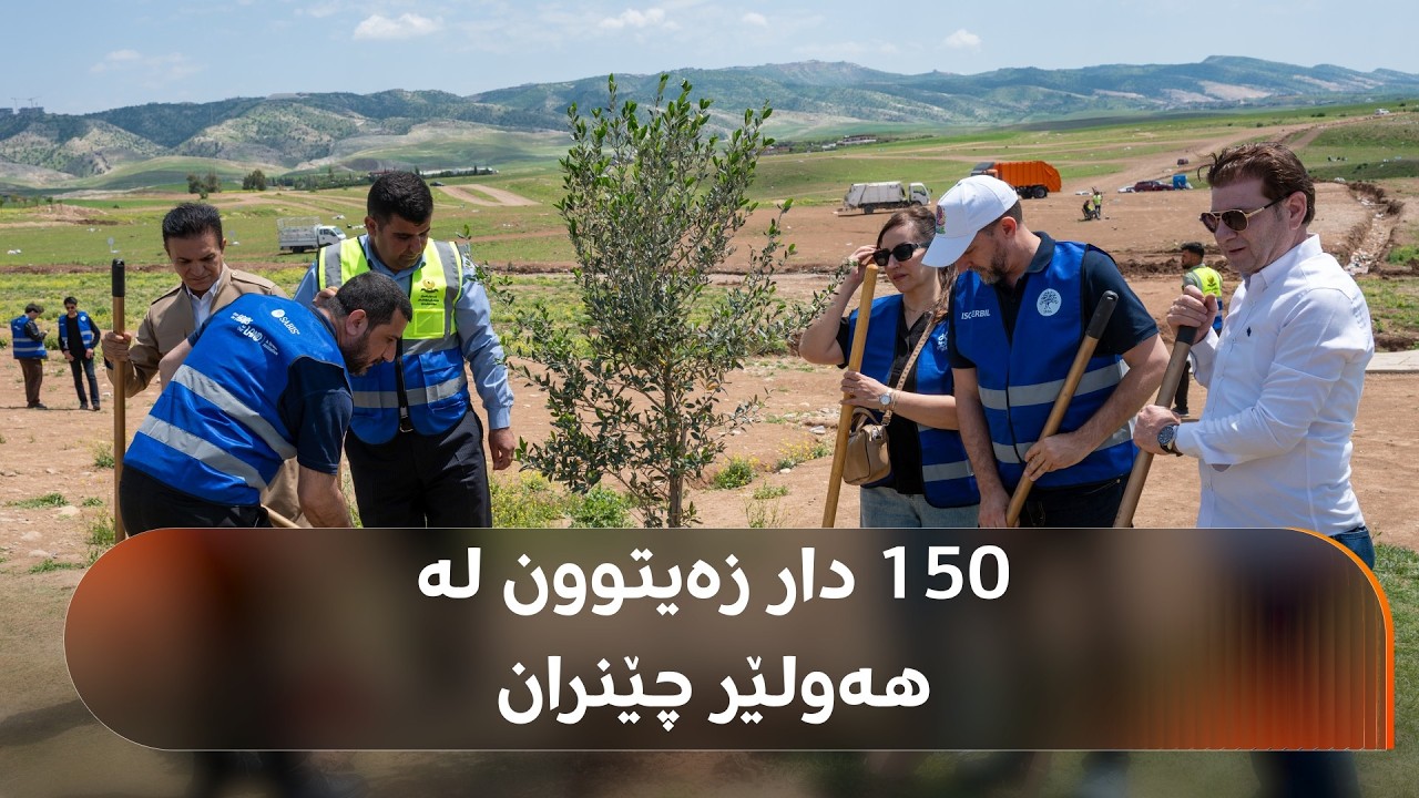 ڤیدیۆ | قوتابی و مامۆستاکانی قوتابخانەکانی سابیس 150 داری زەیتوونیان لە هەولێر چاند
