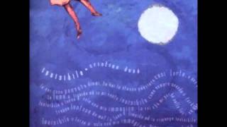 Cristina Donà - Invisibile (Boosta remix)