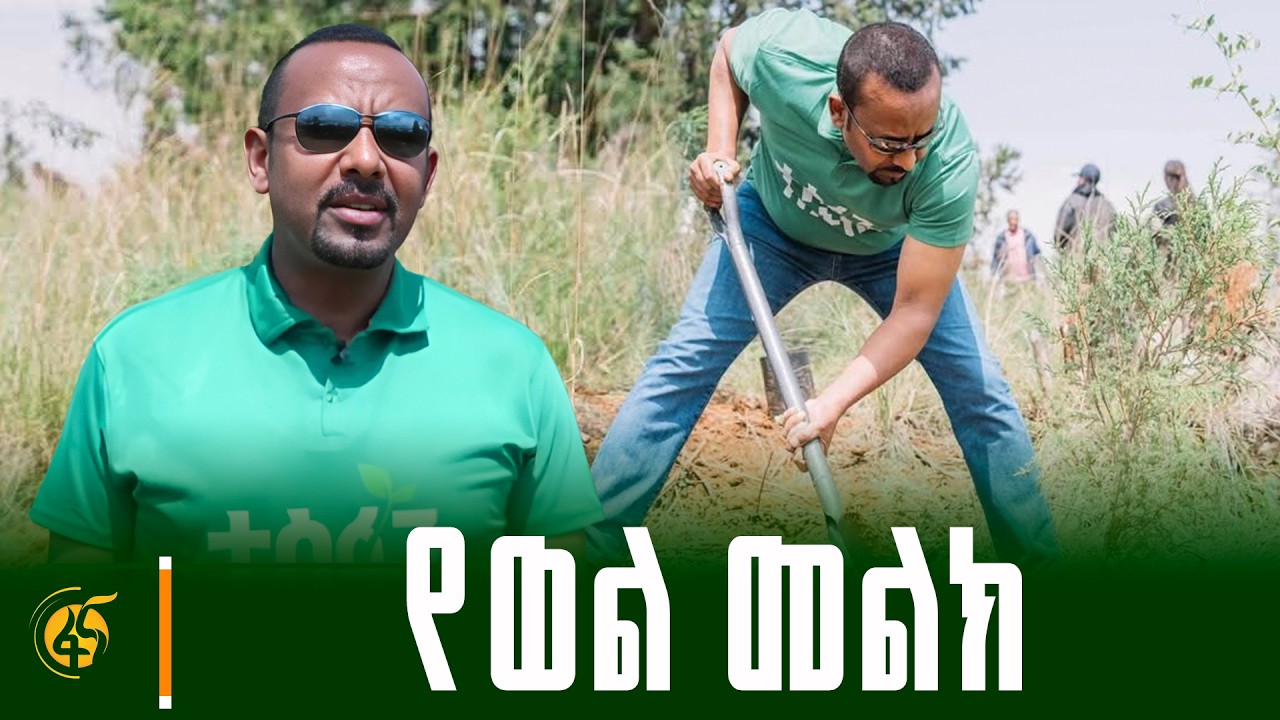 ያልተቋረጠ ትጋት