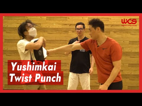 Yushimkai Twist Punch | #DKYOO