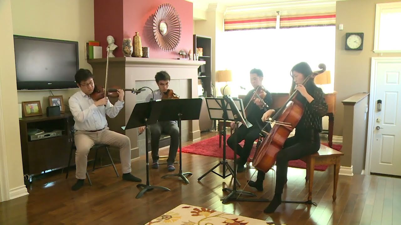 Promotional video thumbnail 23 for Ensemble Affectionato