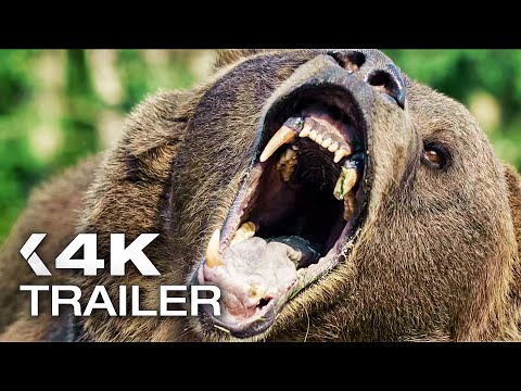 KinoCheck Heimkino and Black Hill Pictures