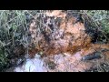 'Orange Gunge' - Iron Bacteria and Bog Iron